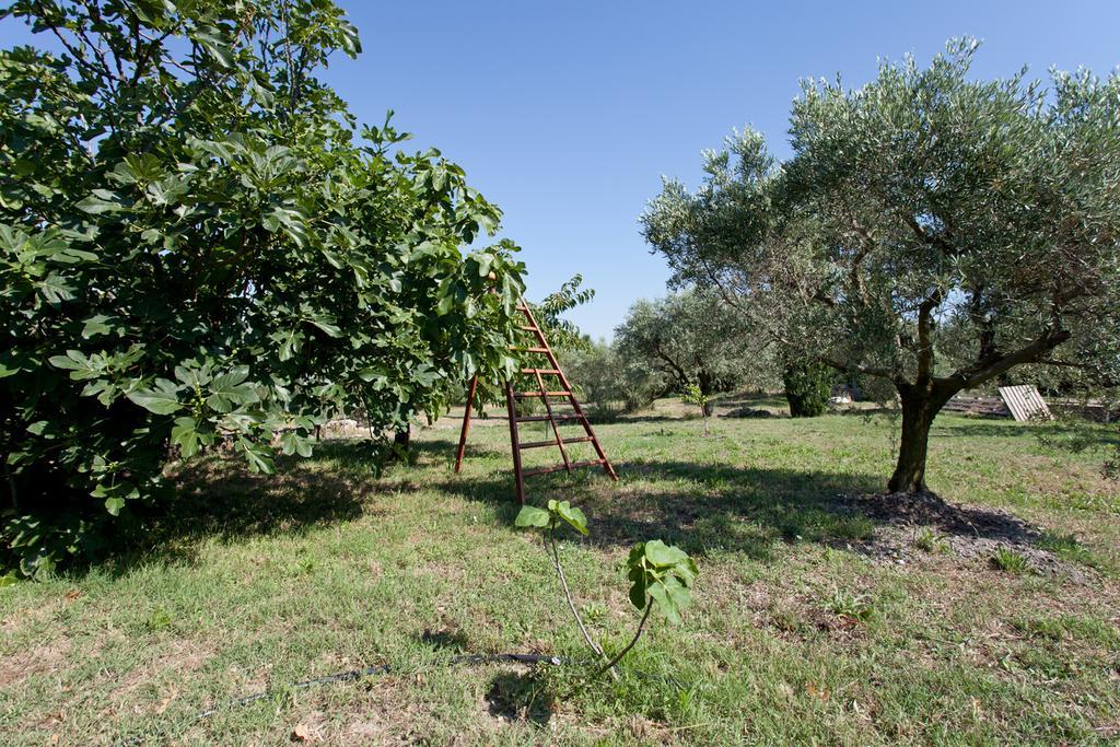 Mas des collines Bed and Breakfast Fontvieille Habitación foto